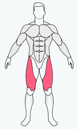 MuscleFit - Weight machine, home gym equipment, gym machines, smith ...