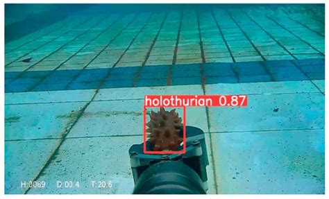 Underwater Robot Target Detection Algorithm Based on YOLOv8