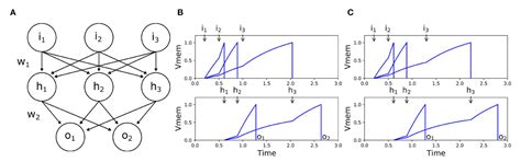 Image result for Neural Coding