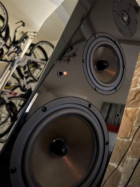 Picked up a pair of Focus Audio FP90SE’s. Anyone have any experience ...