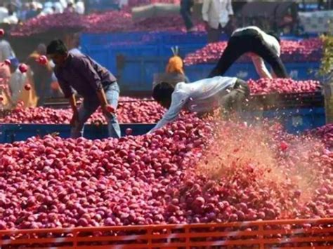 Shocked After Earning Only Rs 10, 446 For 2700 Kg Onion, MP Farmer Dies ...