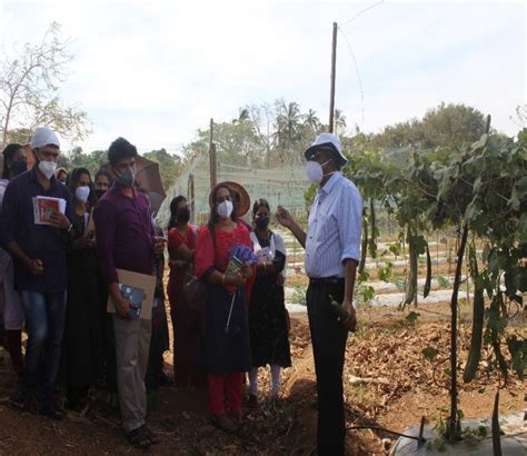 Training on “Advanced Technologies in Vegetable Production to Extension ...