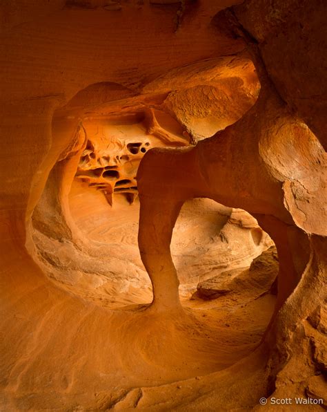 Nevada/Utah/Arizona - Scott Walton Photographs - Landscape and Nature Photography - wildlife in valley of fire state park