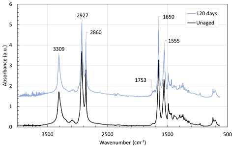 Pure Hydrolysis of Polyamides: A Comparative Study