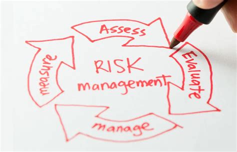 Project Risk Management 的图像结果