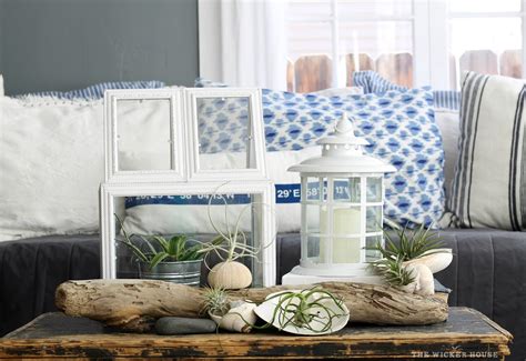 How to Display Air Plants On MDF 的图像结果