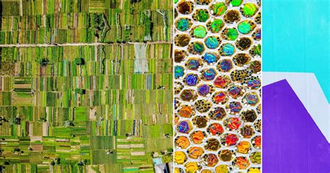 Image result for Machine Learning Algorithms From Scratch