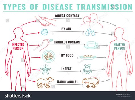 Disease Transmission Royalty-Free Images, Stock Photos & Pictures ...
