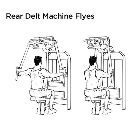 The 25 Best Rear Delt Exercises for Epicly Strong Shoulders - Radical ...