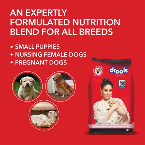Drools Starter - Scientifically Developed Puppy Nutrition for Growth ...