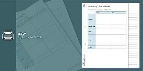 Comparing DNA and RNA Worksheet