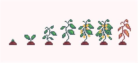 Rezultat imagine pentru Sapling Animation