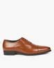Buy Tan Brown Formal Shoes for Men by SAN FRISSCO Online | Ajio.com