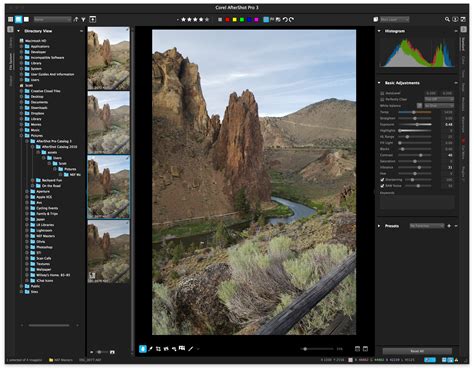 Image result for Corel AfterShot Tutorial