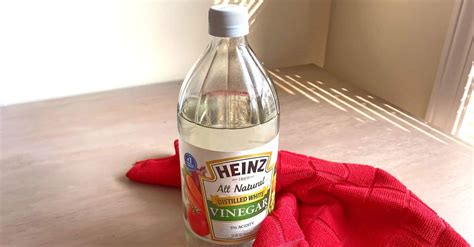 25 Clever Ways to Use Borax Around the House – Snappy Living