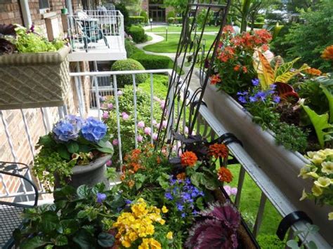 Örnek Balkonlar - Page 5 - agaclar.net