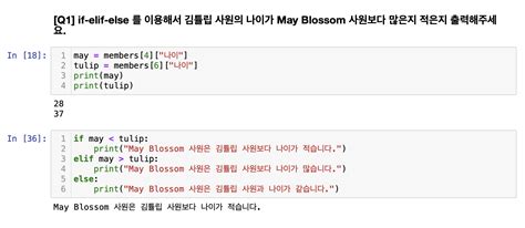 Python If Condition 的图像结果
