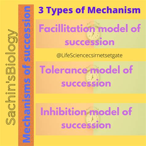 Ecological Succession: Types, Mechanisms And Stages