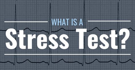 Stress testing Types 的图像结果