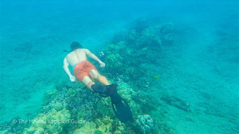 7 Best Road to Hana Tours, Maui (2026) – Luxury, Adventure & Family Picks