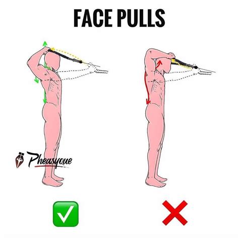 How to do a Face Pull correctly! Form is everything. Face pulls are a ...