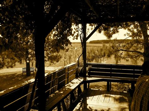 Ottimo Cibo: Alexis Bailey Vineyard