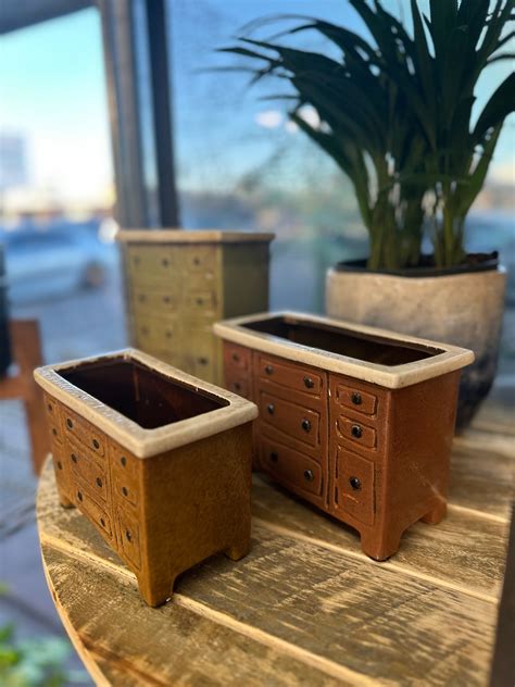 15+ Plant Store Phoenix - CyrusKierson