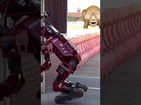 Robot Fails 的图像结果