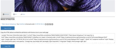 Creative Commons Search 的图像结果