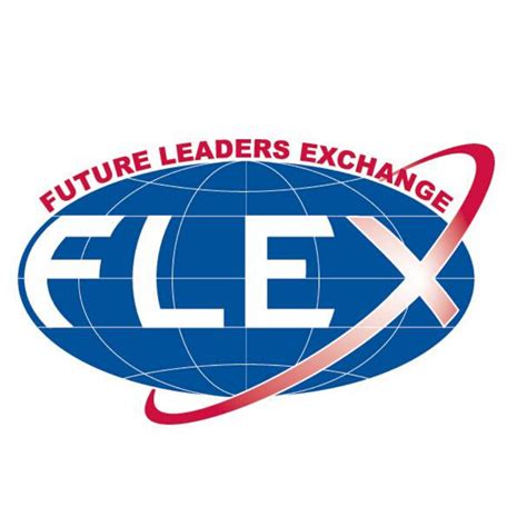 Image result for Flex Program