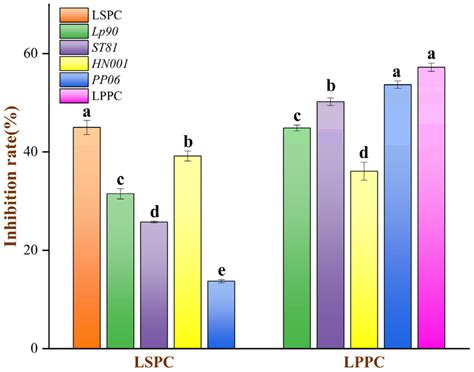 Phenolic Profile and Bioactivity Changes of Lotus Seedpod and Litchi ...