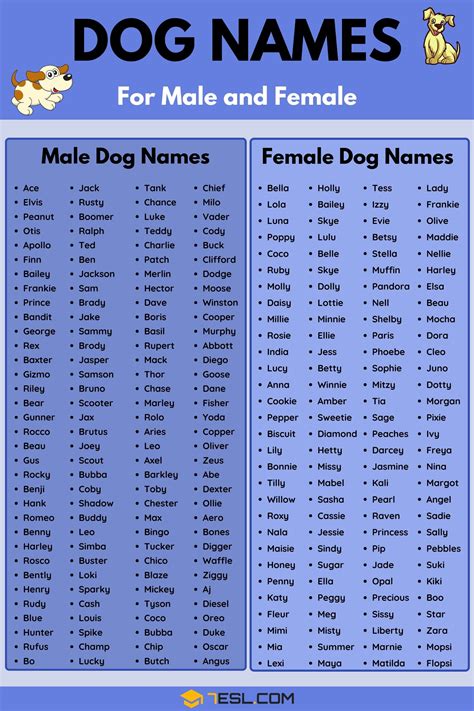 Image result for Most Common Dog Names