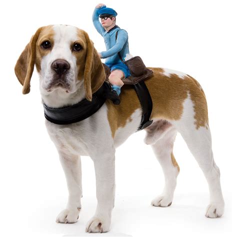 Valentine One: Dog Costumes