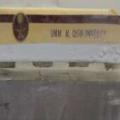 Image result for First Time Life Modelling Test