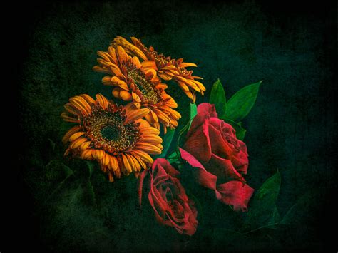 Sunflowers and Roses Wallpapers - Top Free Sunflowers and Roses ...