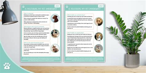 Is Neutering My Pet Important? - Information Sheet - Pets