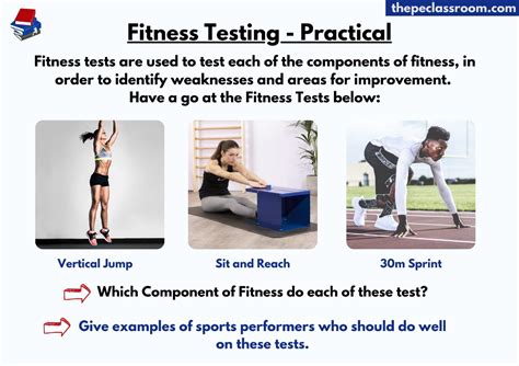 Image result for Exercise Test