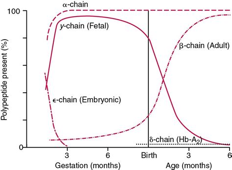 Image result for Python Program to Find Leap Year