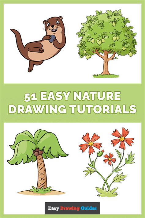 Image result for Nature Drawing Tutorials