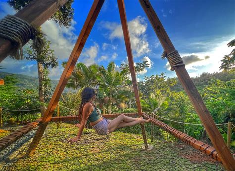 Image result for How to Bilde a Tree Nete