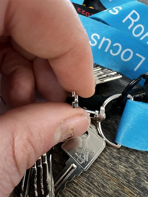 Image result for Identification key Tutorial