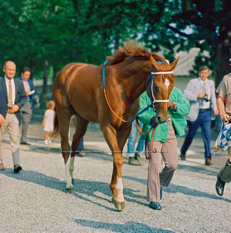 The real life Secretariat passed 30 years ago today. Wasn't he a ...