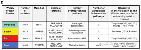 PNE vs WBA 的图像结果