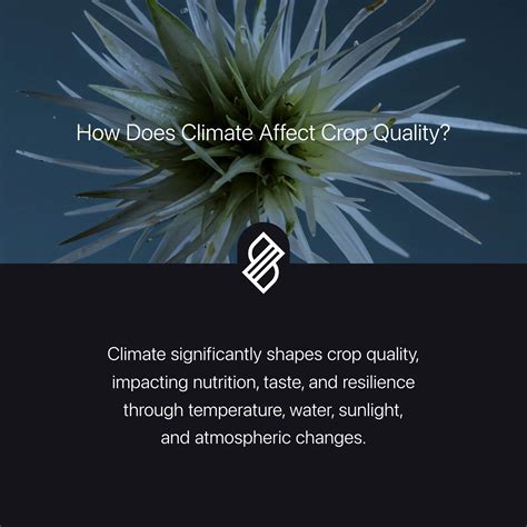 How Does Deforestation Affect Air Quality? → Question