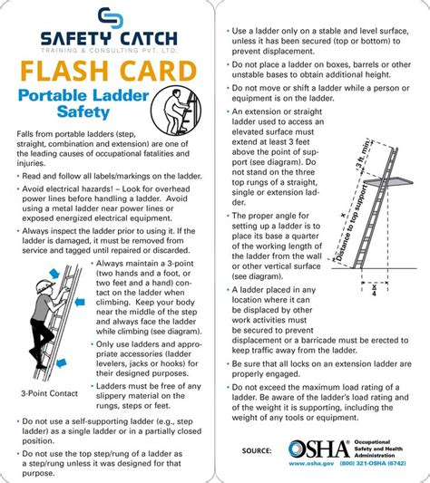 Catch Flash Card 的图像结果