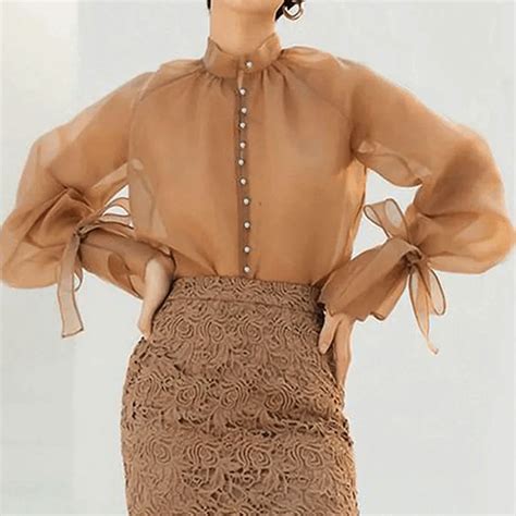 Long Lantern Sleeve Shirt Style Brown Top