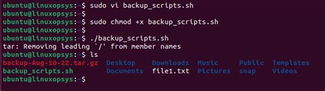 Image result for How to Execute a Script