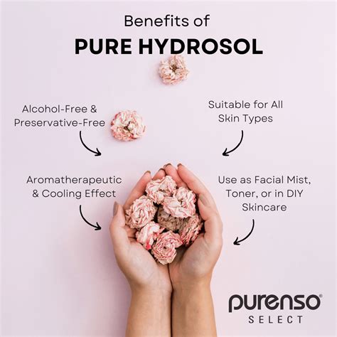 Buy Turmeric Root Hydrosol | Anti-Inflammatory Skin Toner – Purenso ...