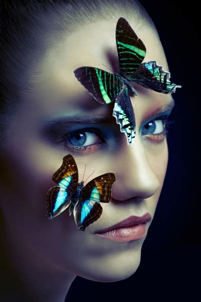 Ephemeral by Clara Copley