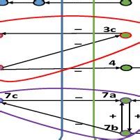 Electrical Communication Graph 的图像结果